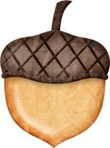 an acorn is shown in the shape of a piece of bread with chocolate on top