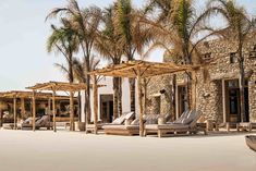 a row of chaise lounges sitting on top of a sandy beach next to palm trees