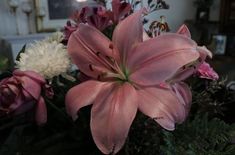 a vase filled with pink and white flowers