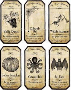 six different types of witches and their names