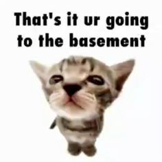 a cat with its mouth open and the caption that says, that's if ur going to the basement