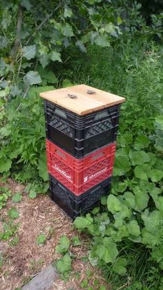 a red and black beehive sitting in the middle of some green plants,