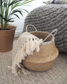 a woven basket sitting on top of a rug next to a potted palm tree