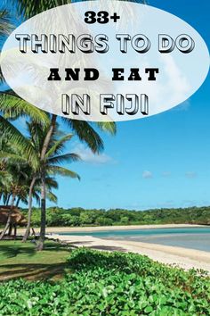 a beach with palm trees and the words 38 things to do and eat in fiji