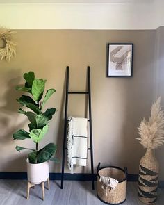 a bathroom with a plant in the corner next to a towel rack and other items