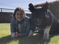 Pig Photoshoot, Pig Shots, Livestock Judging, Pig Pictures