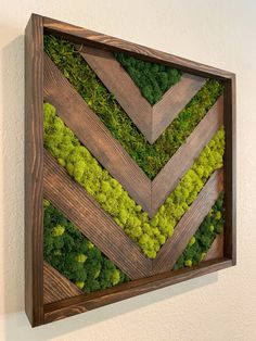 moss and wood in a wooden frame on the wall