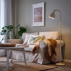 a living room with a couch, table and potted plant on the floor next to it