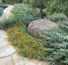 a rock surrounded by plants next to a swimming pool