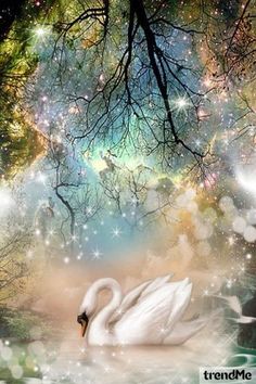 a white swan floating on top of a lake under a tree filled with stars and sparkles