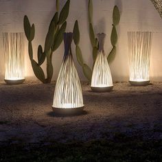 some lights that are sitting on the ground in front of plants and cactuses outside