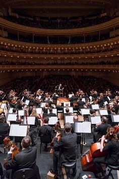 an orchestra performing in front of a large audience