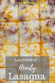 Low Fodmap Lasagna Recipe, Low Fodmap Freezer Meals, Low Fodmap Lasagna, Fodmap Meals, Fructose Intolerance, Gluten Free Lasagna, Ibs Diet