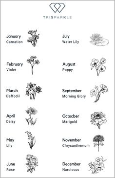 an image of flowers and their names