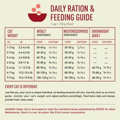 the daily diet for cats is shown in red and white, with information about how to feed