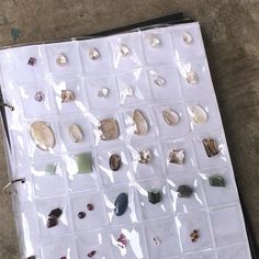 there are many different types of shells on this sheet of clear plastic, and they all have holes in them