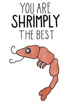 a shrimp with the words you are shrimply the best