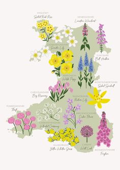 an illustrated map of the united states with flowers in each country's capital and major cities