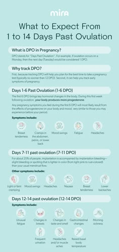 Ovulation Symptoms, Pregnancy Chart, Lets Make A Baby, Ttc Tips, Fertility Tracking, Ovulation Tracking, Fertility Tracker, Pregnancy Checklist, Planning Pregnancy