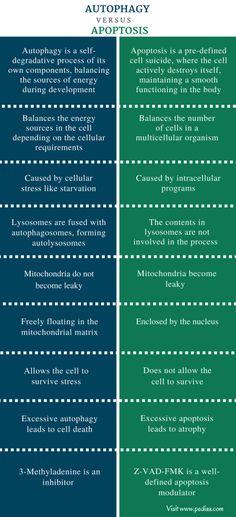 two green and blue banners with words describing the differences between automaticism and autotrosis