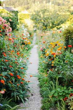 the path is lined with colorful flowers and greenery