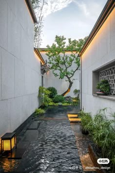 an alley way with trees and plants on both sides is lit up by lights at the end