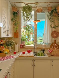 a kitchen filled with lots of counter top space next to a window covered in plants