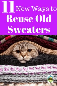 a cat peeking out from behind some sweaters with the title 11 new ways to reuse old sweaters