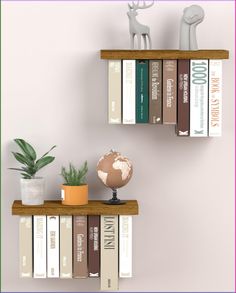 two shelves with books and a small globe on one shelf, against a pink wall