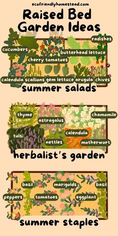 four different types of flowers and plants with the words raised bed garden ideas on them