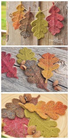 four different pictures of autumn leaves hanging from clothes pins