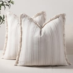 two white pillows sitting on top of a couch next to a potted green plant