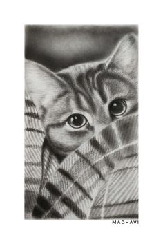 a pencil drawing of a cat peeking out from behind a plaid blanket with its eyes open