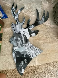 an image of a deer's antlers on the floor with photos and tape