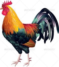 a colorful rooster is standing on the ground with its tail curled up and it's head