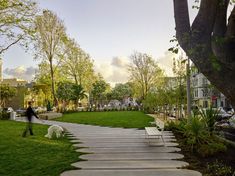 a person walking their dog down a path in the park with trees and grass on both sides