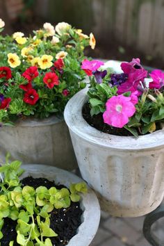 three cement planters filled with colorful flowers on top of a table next to each other