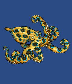 an octopus with blue and yellow spots on it's body is floating in the air