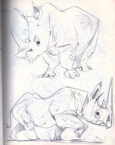 an open book with two drawings of rhinos