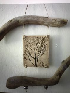 a piece of driftwood hanging on a wall next to a wooden branch with a tree in it