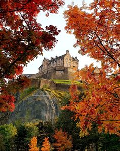 an old castle on top of a hill surrounded by trees with orange leaves in the foreground