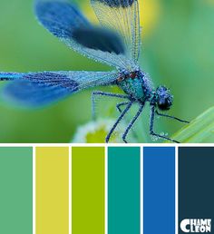 a blue dragonfly sitting on top of a green plant with lots of color swatches