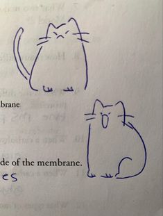 an open book with two cats drawn on it