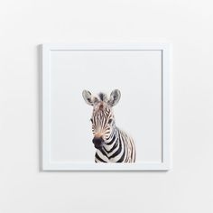 a zebra's head is shown in front of a white frame on the wall