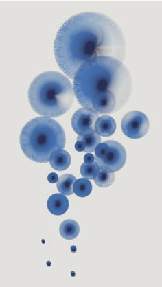 blue bubbles floating in the air on a white background