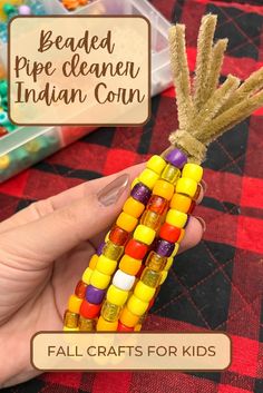 If you’re looking for a cute Fall craft that will make the perfect decor or centerpiece for your Thanksgiving table, you and your kids will love making these Beaded Pipe Cleaner Indian Corn crafts. Indian corn is a staple Harvest party or Thanksgiving symbol. This craft is not only fun for your kids but will keep them busy for a while and only requires 2 supplies to make it. Corn Bead, Cute Craft, Kids Thanksgiving, Harvest Party