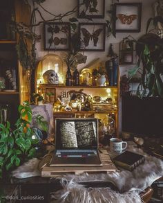 an open laptop computer sitting on top of a wooden desk next to plants and pictures