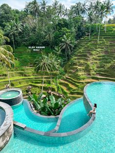 an outdoor swimming pool surrounded by lush green rice terraces and palm trees in the background