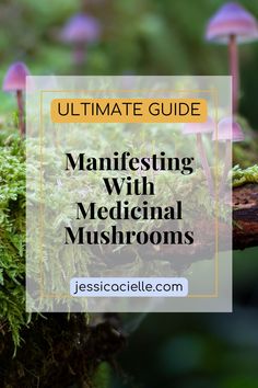 the ultimate guide to manifesting with medical mushrooms in your garden or yard is here