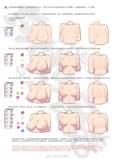 Body Type Drawing, Female Anatomy Reference, Drawing Female Body, Anatomy Tutorial, Body Drawing Tutorial, Human Anatomy Art, Body Reference Drawing, Art Tools Drawing, Sketches Tutorial